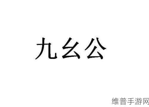 9幺1.0.31：拓展9幺1.0.31：全新功能与优化体验的全面升级指南
