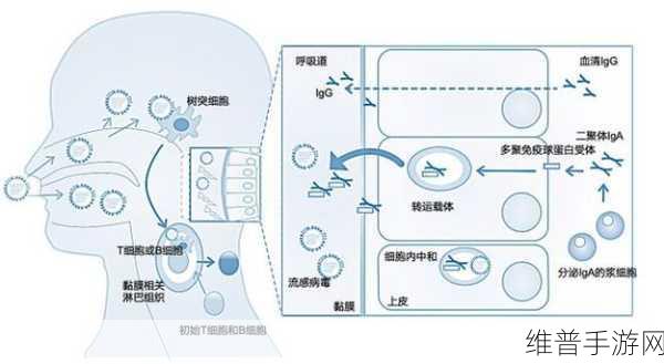 我爱搞52g,abb_u3：我爱搞52G，探索ABB_U3的无穷魅力与可能性。