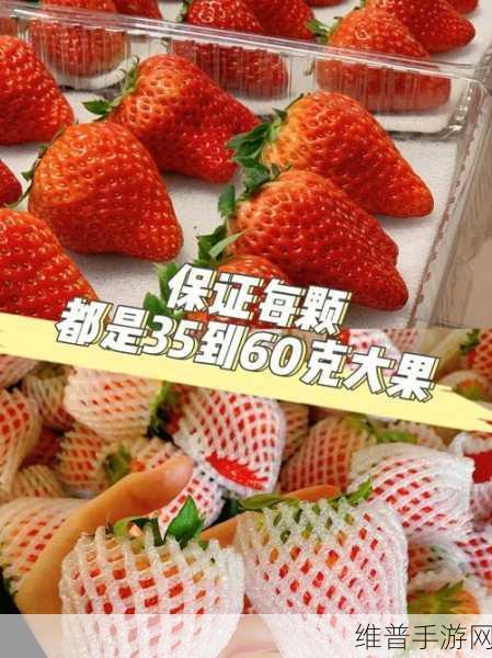 草莓视频成人99：探索草莓视频成人99的无限可能性与惊喜体验！