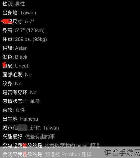 十八禁成人网站：探索激情世界：十八禁成人网站全面解读与推荐
