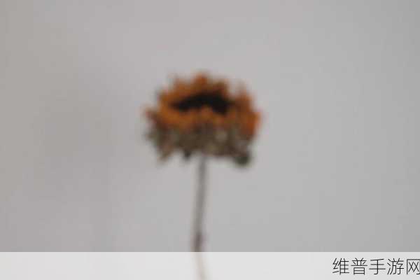 向日葵视频据店长统计：向日葵视频：全新精彩内容，带你领略不一样的视界体验！