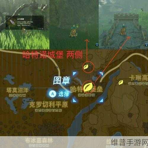 塞尔达哈特诺村蓝色火焰通关秘籍与火焰蓝旅游全指南