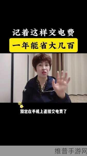 免费三色电费2024电影：2024年免费三色电费大揭秘：如何实现智慧生活