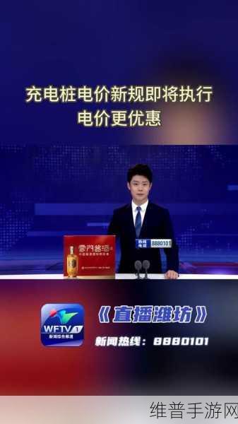 免费三色电费2024电影：2024年免费三色电费大揭秘：如何实现智慧生活