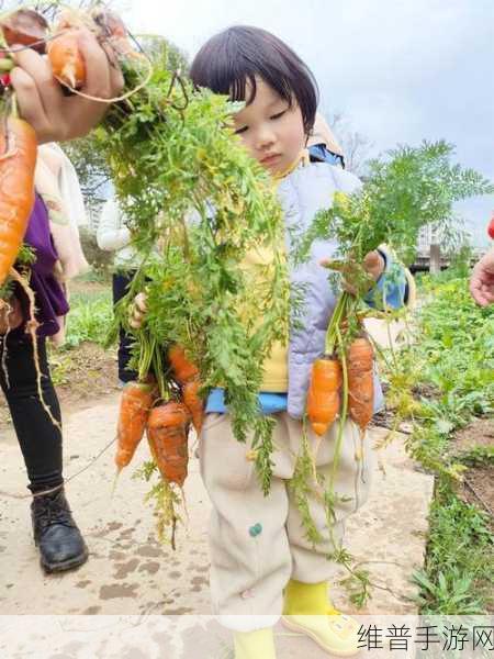 打扑克拔萝卜:打扑克与拔萝卜:趣味游戏中的策略与乐趣