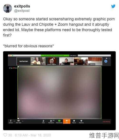 非洲ZOOMZOOM人与ZOOM：非洲ZOOMZOOM人与全球ZOOM的文化交流与合作探讨