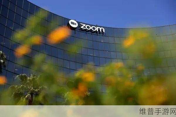 非洲ZOOMZOOM人与ZOOM：非洲ZOOMZOOM人与全球ZOOM的文化交流与合作探讨