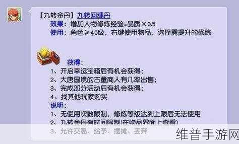 最强祖师中九转金丹的最佳归属与使用指南