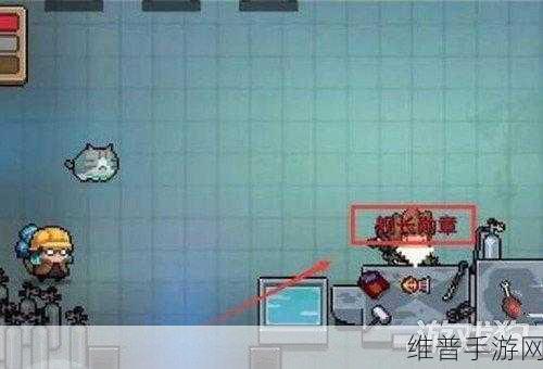 元气骑士，船长勋章用途大揭秘