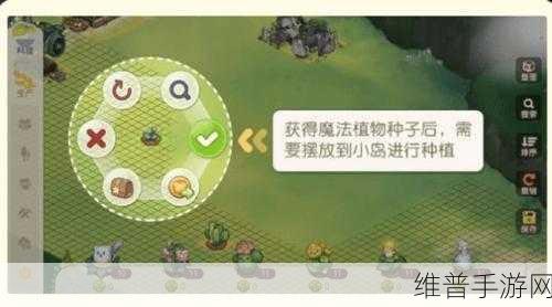 奥比岛手游深度攻略，揭秘魔法植物的获取方法与用途