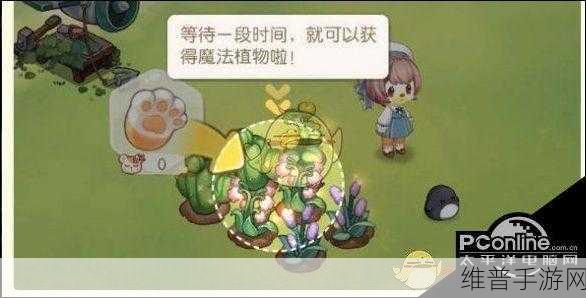 奥比岛手游深度攻略，揭秘魔法植物的获取方法与用途