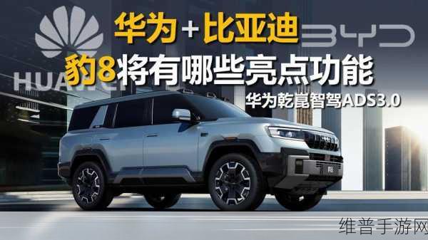 x7x7x7任意噪入口连接设置：优化X7X7X7任意噪入口的连接设置与管理方法探讨