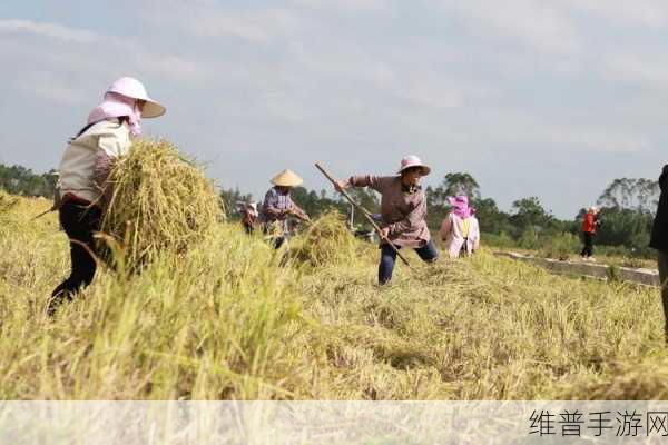 儿子帮妈妈耕种荒废的田：儿子携手母亲重耕荒田，共筑希望新篇章