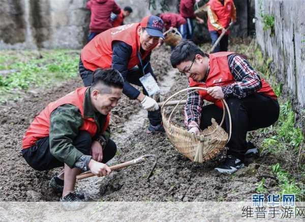 儿子帮妈妈耕种荒废的田：儿子携手母亲重耕荒田，共筑希望新篇章