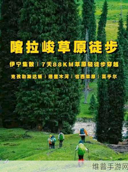 天堂网wwww：探索无限可能的拓展天堂：全新网址体验之旅