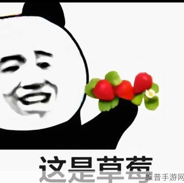 草莓视频懂你更多：草莓视频：贴心推荐，与你的兴趣完美契合！