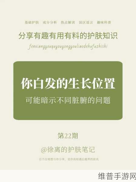 伊洛纳巨人力士探寻，巨人的线索位置全面分析介绍