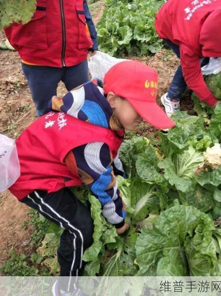 光腿拔萝卜光腿拔萝卜：光腿拔萝卜：探索乡野趣味与自然的完美结合
