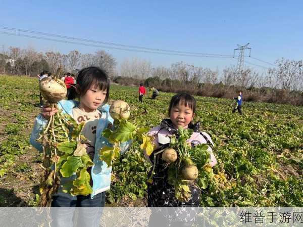 光腿拔萝卜光腿拔萝卜：光腿拔萝卜：探索乡野趣味与自然的完美结合