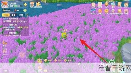 摩尔庄园手游薰衣草，美丽与实用的完美结合