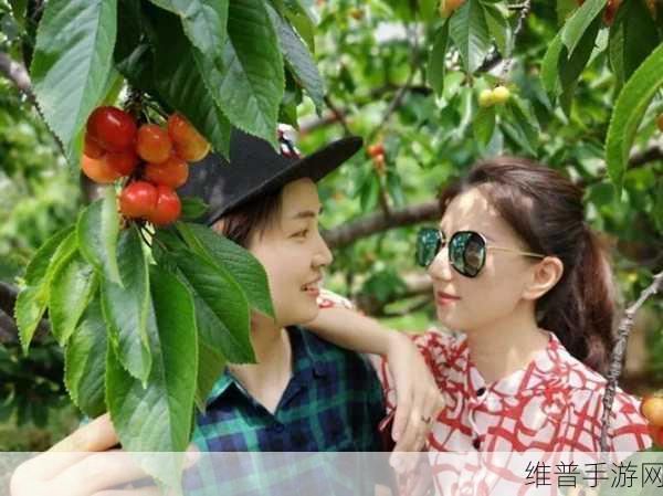 樱桃免费视频：畅享樱桃视频盛宴，让每一刻都精彩无限！