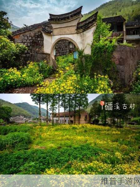 太久网站入口：拓展太久网站入口，开启全新探索之旅！