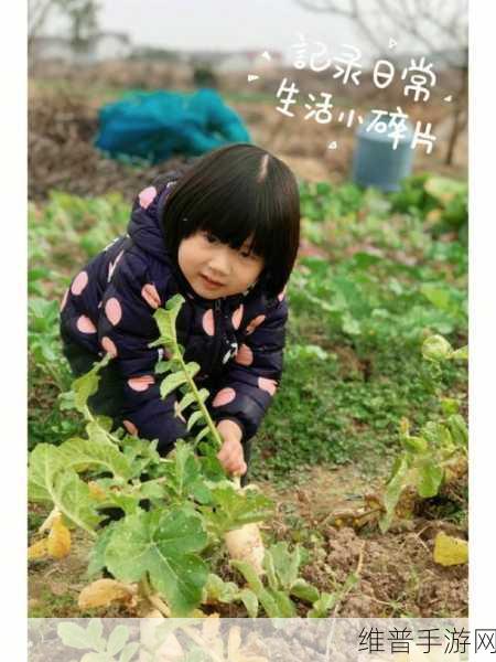 拔萝卜打扑克不盖被子哗咔漫画：拔萝卜打扑克：不盖被子，欢乐无限的奇幻冒险