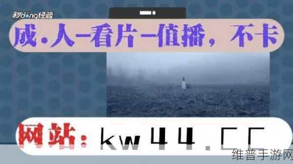 搞机time2023：拓展搞机时间2023：探索科技新潮流与创新应用