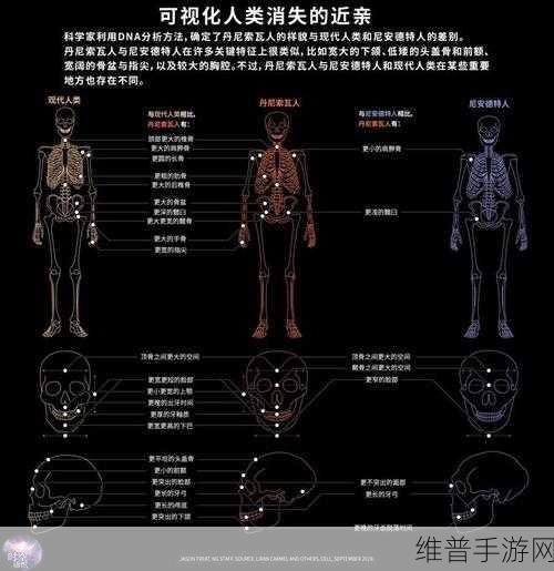 非洲人性功能强大的基因研究：探讨非洲人基因与性功能强大之间的科学关系