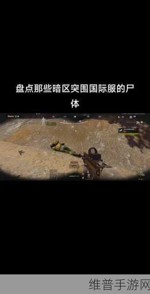 暗区突围国际服无法登录的原因及解决方法全面解析