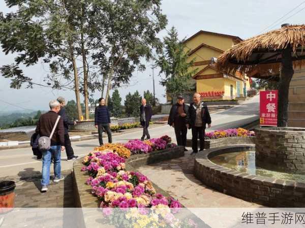 丰裕纵横场玉环258：纵横场景新篇章：丰裕玉环258的无限可能