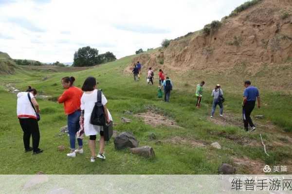 丰裕纵横场玉环258：纵横场景新篇章：丰裕玉环258的无限可能