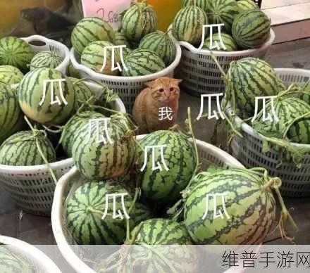 5ICGI0今日吃瓜：今日吃瓜：那些让人意想不到的娱乐圈内幕揭秘！
