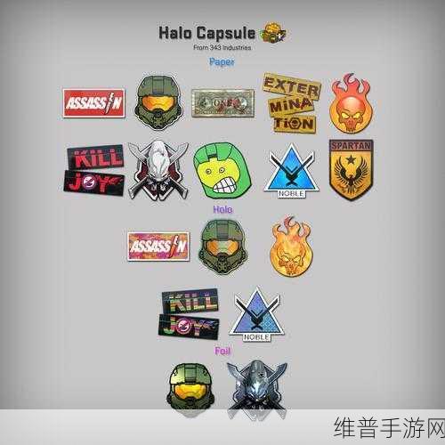 俄罗斯女csgo：俄罗斯女选手在CS：GO赛场上的崛起与挑战