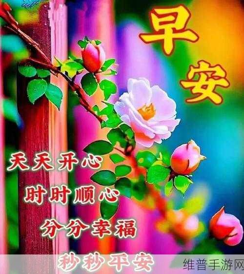 抱着儿媳妇睡觉的心情说说：温暖的夜晚，抱着儿媳妇入梦乡的幸福时刻