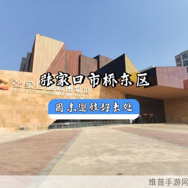 我爱搞 52g app：探索无极限，尽享乐趣的52g应用新体验！