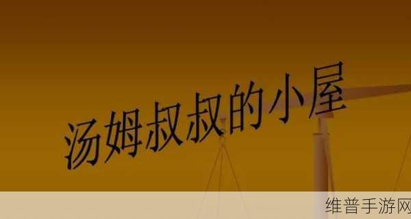 汤姆叔叔最新地域境外网名tom+uncle's+wor：汤姆叔叔的海外冒险：探索全球无尽可能性