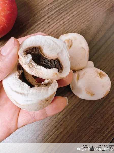蘑菇黑料爆料视频：揭开蘑菇黑料背后的真相与内幕，震惊全网！