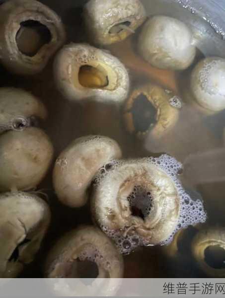 蘑菇黑料爆料视频：揭开蘑菇黑料背后的真相与内幕，震惊全网！