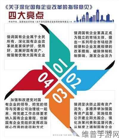 17.c-起草国：国有企业改革与国际合作的战略路径探讨