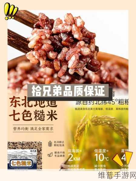 黑瓜吃料：黑瓜吃料：探索美味与健康的完美结合之旅