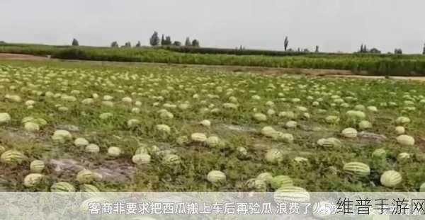 51今日大瓜 热门大瓜在线观看：今日热门大瓜实时更新，精彩视频尽在这里！