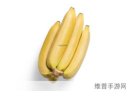 香蕉频蕉：探秘香蕉的营养价值与美味食谱，开启健康之旅！