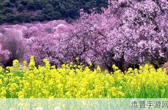 桃花深处水潺潺：桃花深处水潺潺，春风拂面醉人间。