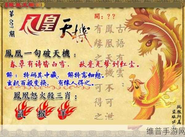 管家婆三期开一期精准的背景：全面解析管家婆三期一精准背景与实施策略