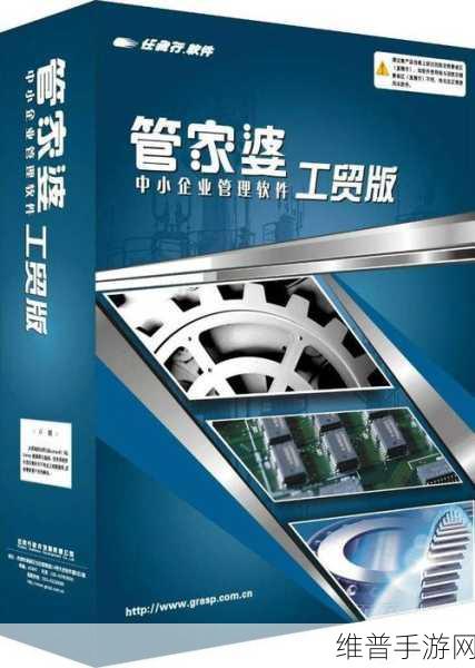 管家婆三期开一期精准的背景：全面解析管家婆三期一精准背景与实施策略