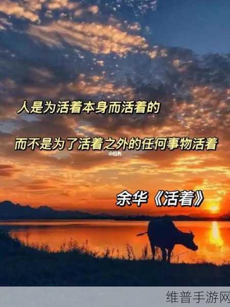 无小内：无小内：探寻生活的细微之处与深刻意义