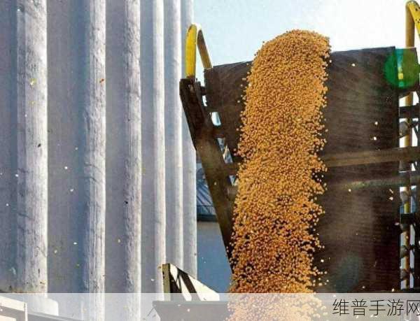 欧美性精品处破系列大豆行情：欧美性精品市场新动向：大豆行情全面拓展分析