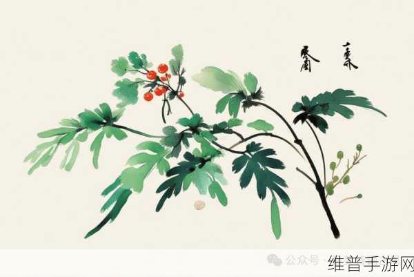 tom汤姆叔叔最新网名：汤姆叔叔最新网名：探索无尽可能的创意天地