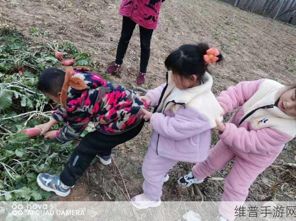 男女拨萝卜全程不盖被子：男女双排萝卜游戏，激情四溢不盖被子！